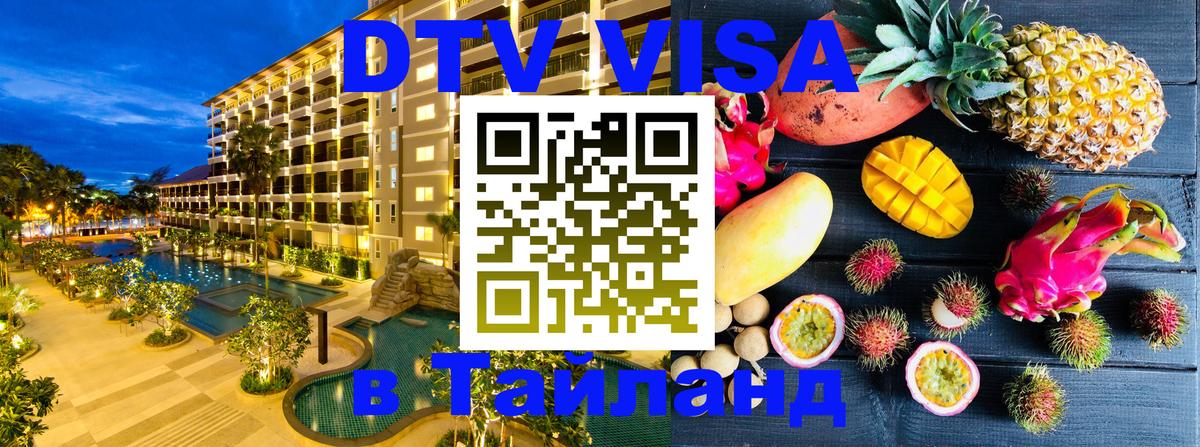 Оформление DTV визы под ключ: стоимость и тарифы, только загранпаспорт - Сан-Сальвадор  18.11.2025 